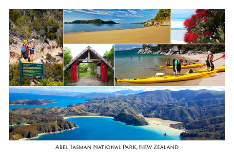 038 - Post Art Postcard - Abel Tasman Coastal Track