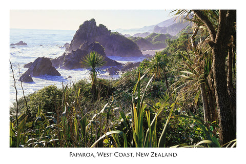 27 - Post Art Postcard - Paparoa, West Coast