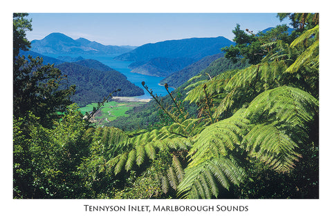 34 - Post Art Postcard - Tennyson Inlet Marlborough Sounds
