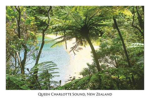 35 - Post Art Postcard - Queen Charlotte Sound