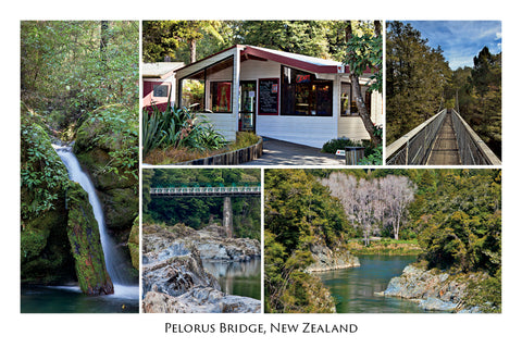47 - Post Art Postcard - Pelorus Bridge Reserve