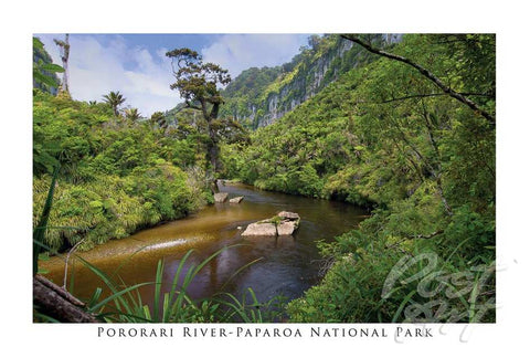 48 - Post Art Postcard - Pororari River