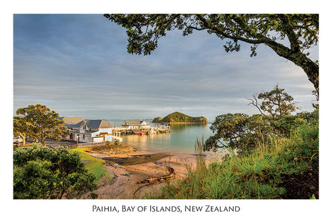 521 - Post Art Postcard - Paihia, Bay of Islands