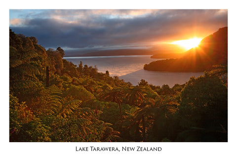 643 - Post Art Postcard - Lake Tarawera