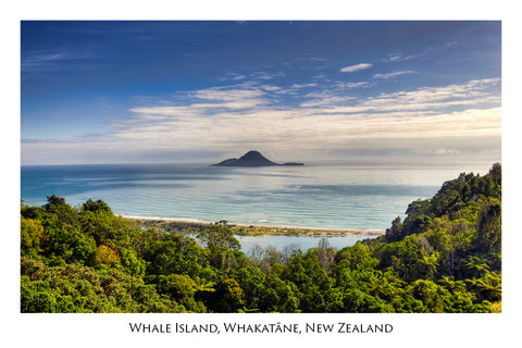 673 - Post Art Postcard - Whale Island, Whakatane