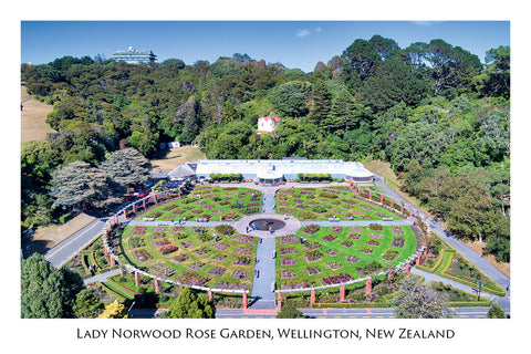 713 - Post Art Postcard - Lady Norwood Rose Gardens