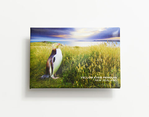 MTS1044 - Sisson Magnet - Yellow Eyed Penguin (Clouds)