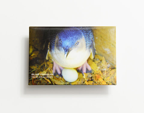 MTS1047 - Sisson Magnet - Blue Penguin On Egg