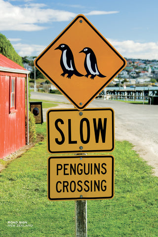 PCL1048 - Sisson Postcard - Penguins Crossing Sign