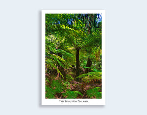 30 - Post Art Postcard - Tree Fern