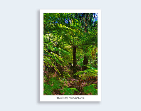 30 - Post Art Postcard - Tree Fern
