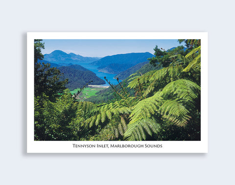 34 - Post Art Postcard - Tennyson Inlet Marlborough Sounds
