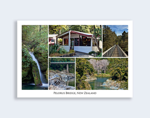 47 - Post Art Postcard - Pelorus Bridge Reserve