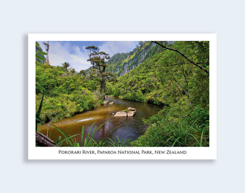 48 - Post Art Postcard - Pororari River
