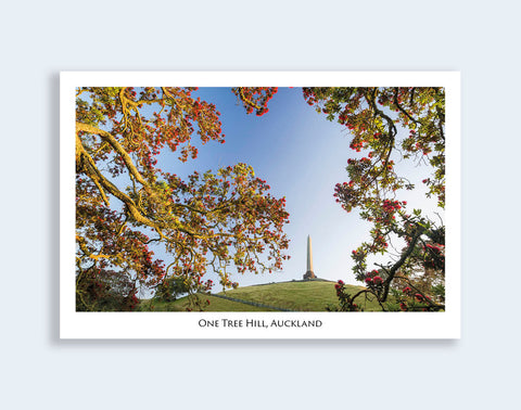 549 - Post Art Postcard - One Tree Hill, Auckland