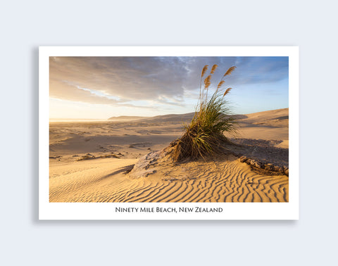 619 - Post Art Postcard - Ninety Mile Beach