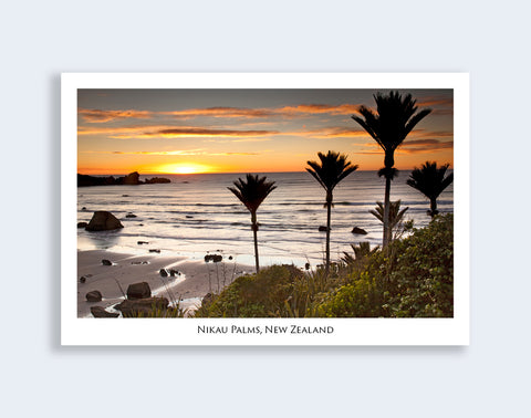 625 - Post Art Postcard - Nikau Palms