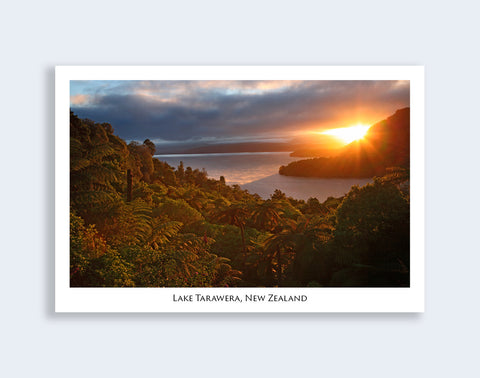 643 - Post Art Postcard - Lake Tarawera