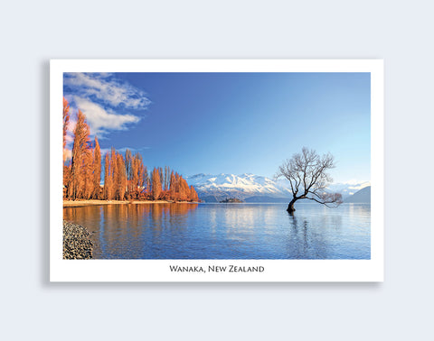 65 - Post Art Postcard - Lake Wanaka Autumn