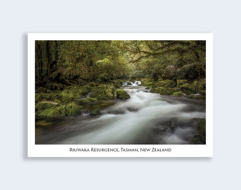 679 - Post Art Postcard - Riwaka Resurgence