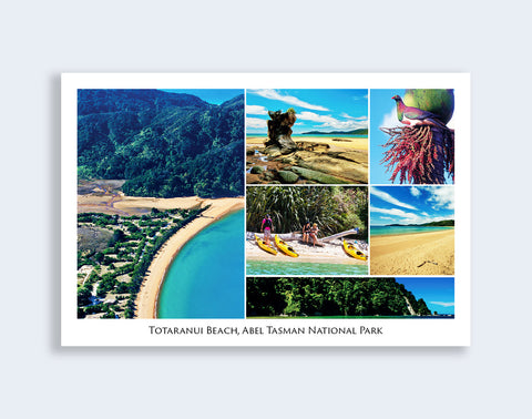 7 - Post Art Postcard - Totaranui Composite