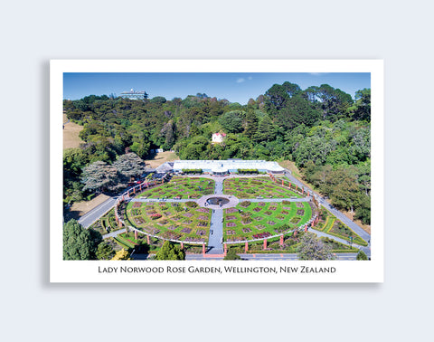 713 - Post Art Postcard - Lady Norwood Rose Gardens