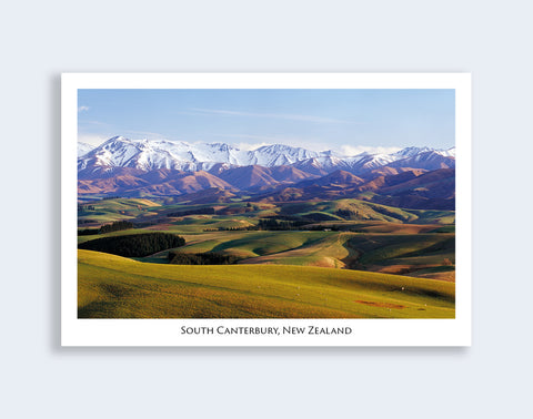 716 - Post Art Postcard - South Canterbury Farmland