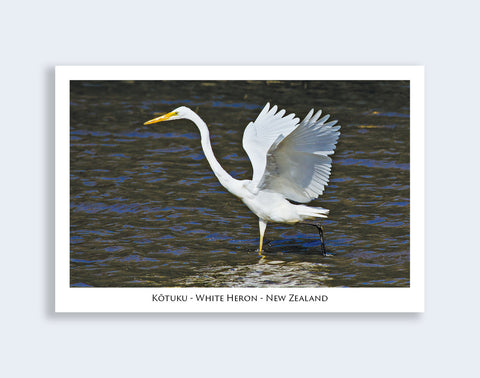 754 - Post Art Postcard - Kotuku