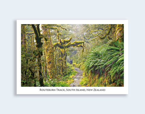 78 - Post Art Postcard - Tramper, Routeburn