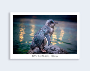 814 - Post Art Postcard - Little Blue Penguin