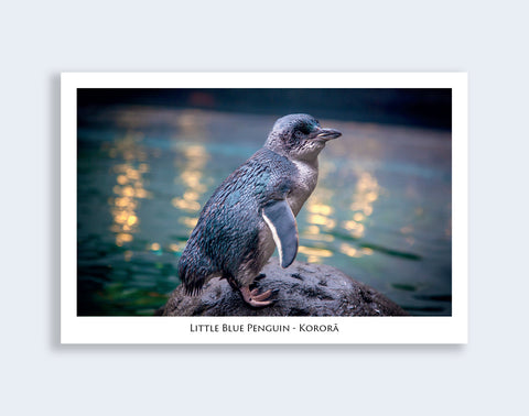 814 - Post Art Postcard - Little Blue Penguin