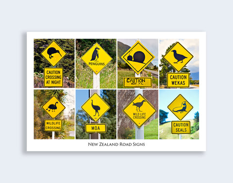 820 - Post Art Postcard - Wildlife Rd Conservation Signs