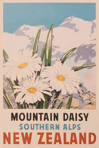 917 - Post Art Postcard - Mountain Daisy Vintage
