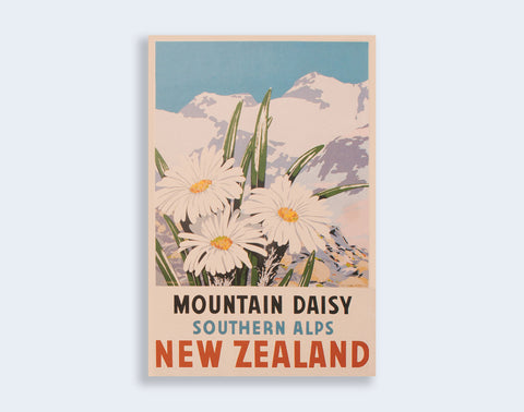 917 - Post Art Postcard - Mountain Daisy Vintage