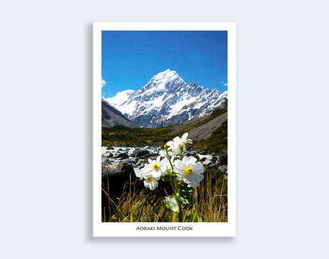 94 - Post Art Postcard - Mount Cook with Lily