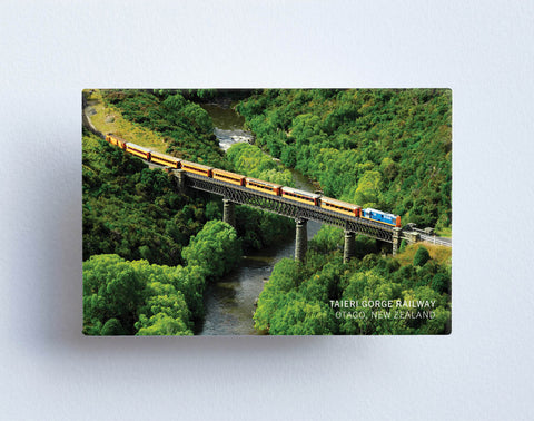 MTS1008 - Sisson Magnet - Taieri Gorge Railway