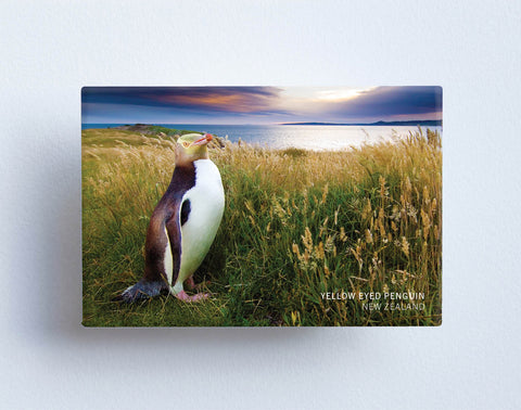 MTS1044 - Sisson Magnet - Yellow Eyed Penguin (Clouds)