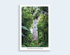 N101 - Post Art Postcard - Tane Mahuta