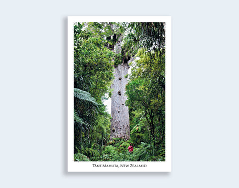 N101 - Post Art Postcard - Tane Mahuta