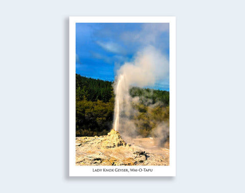 N31 - Post Art Postcard - Lady Knox Geyser