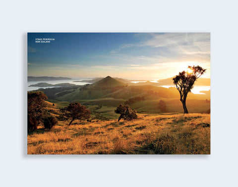 PCL 1006 - Sisson Postcard - Otago Peninsula