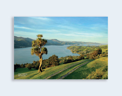 PCL 1009 - Sisson Postcard - Otago Harbour