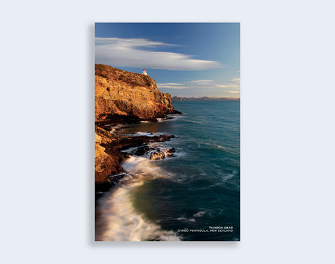 PCL 1012 - Sisson Postcard - Taiaroa Head