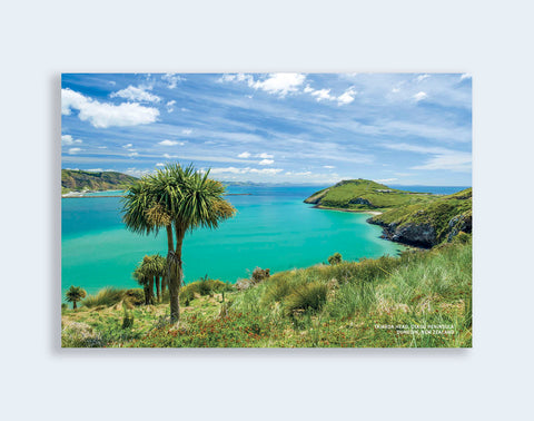 PCL 1015 - Sisson Postcard - Taiaroa Head