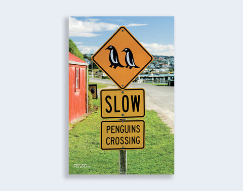 PCL 1048 - Sisson Postcard - Penguins Crossing Sign