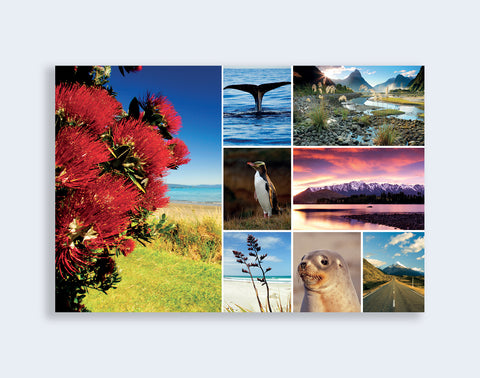 PCL 1051 - Sisson Postcard - Medley: Greetings