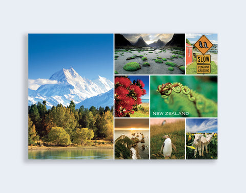 PCL 1053 - Sisson Postcard - Medley: Green New Zealand