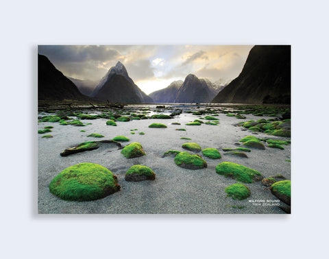 PCL 1081 - Sisson Postcard - Milford Sound (Green Rocks)