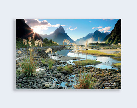 PCL 1082 - Sisson Postcard - Milford Sound (Toitoi)