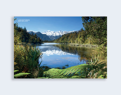 PCL 1119 - Sisson Postcard - Lake Matheson - Ferns